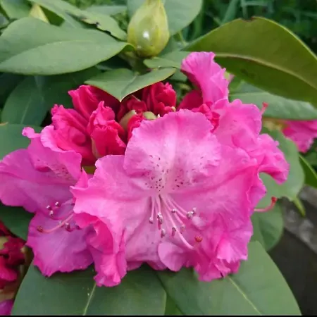 Privater Whirlpool & Sauna - Wellness Oase Apartament